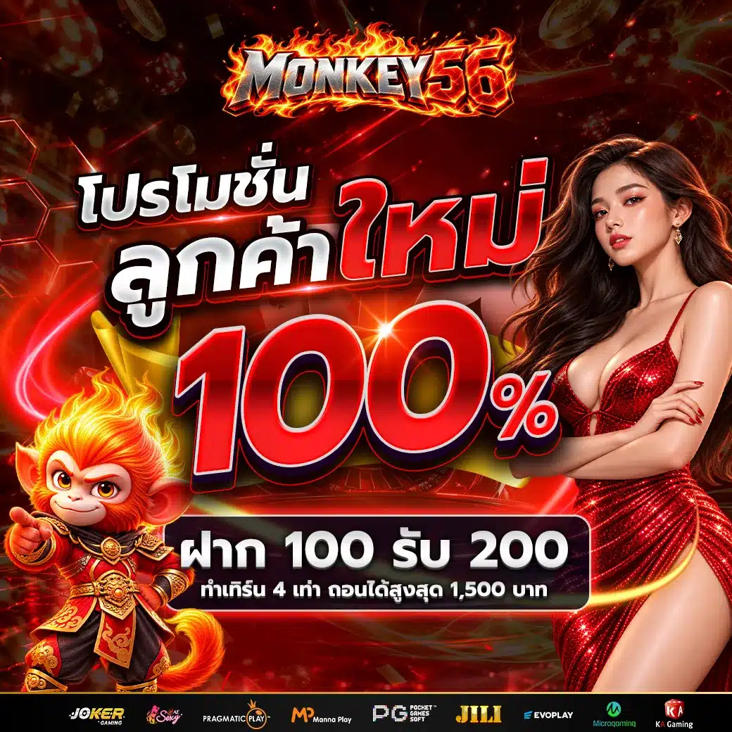 ลูกค้าใหม่